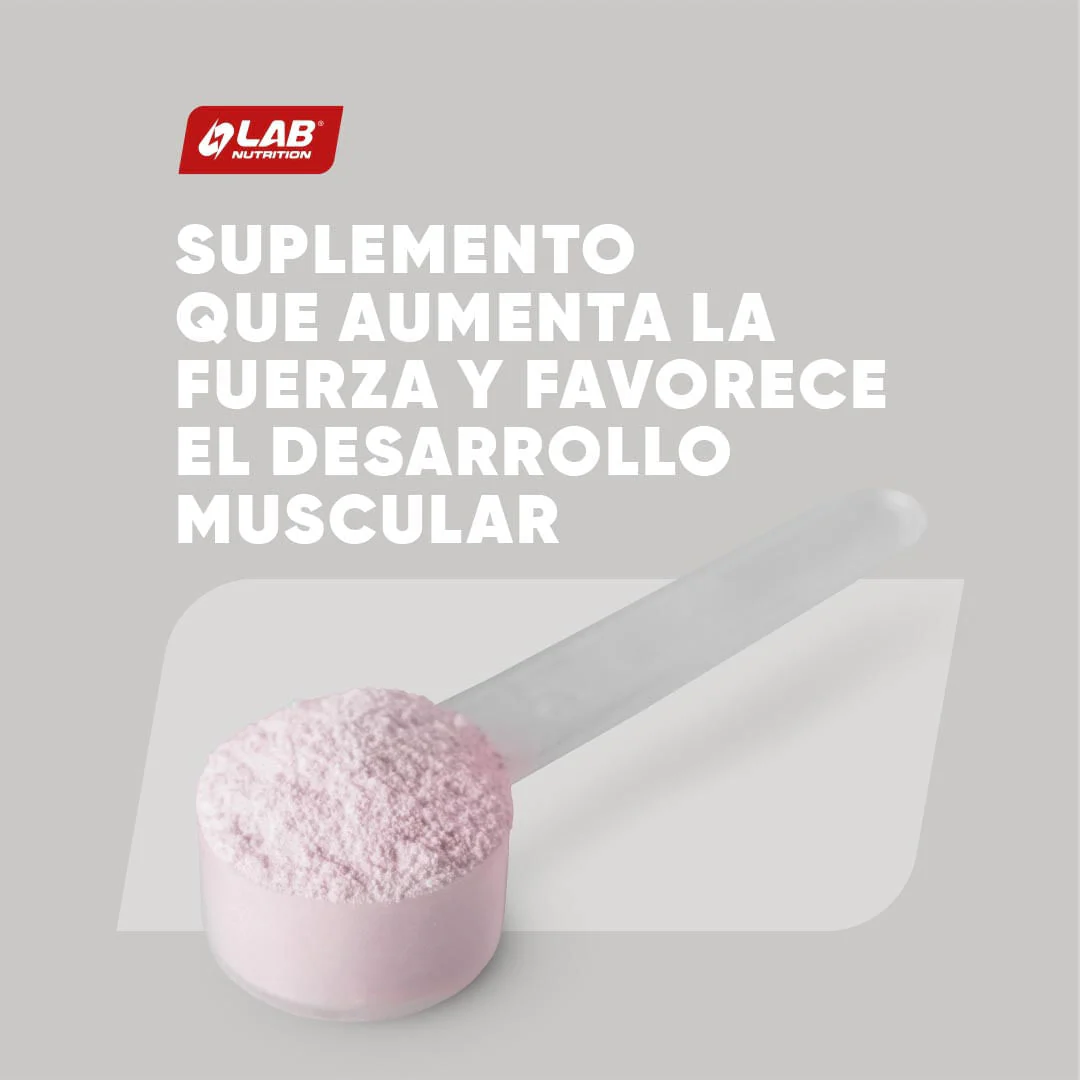 Miniatura 13