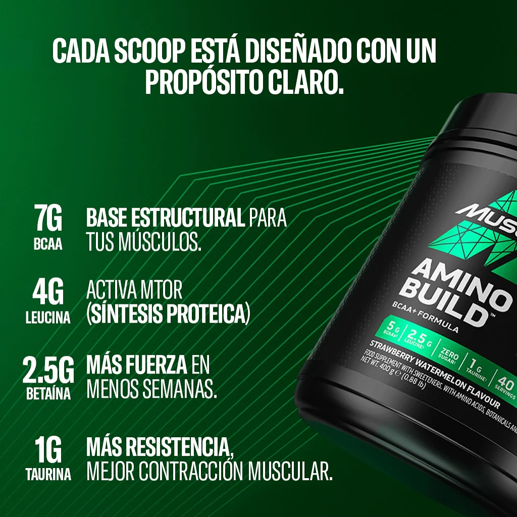Miniatura 19